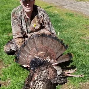 Meet your Posher, Joe